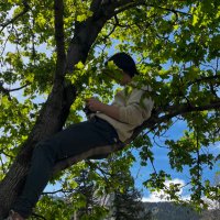 Gabe Schebel (@nibblesjibbles) 's Twitter Profile