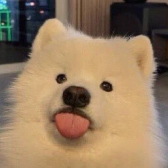 pqyourbae's profile picture. หวังว่าจะพบอ้อมกอดที่ปลอดภัย