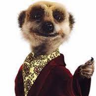 ZombiePigMantwt's profile picture. .