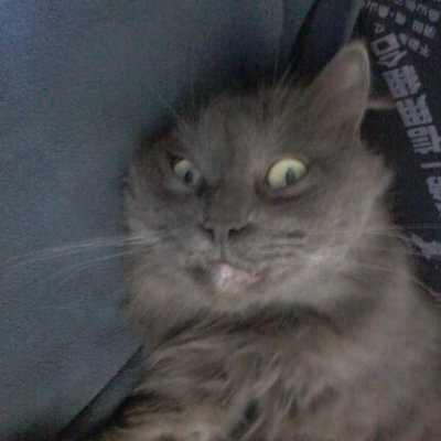 Deniz31820's profile picture. 