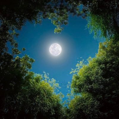 stellarambi's profile picture. I write threads || Ghost writer || @saakuru_labs mod @tonnomads