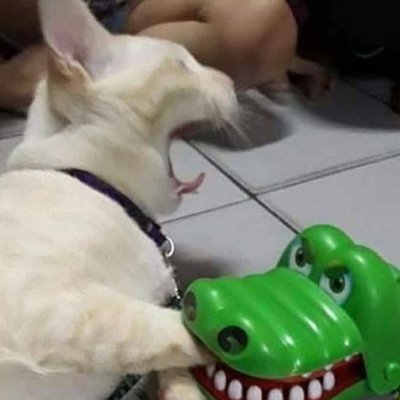 MegaNeko1061396's profile picture. 19