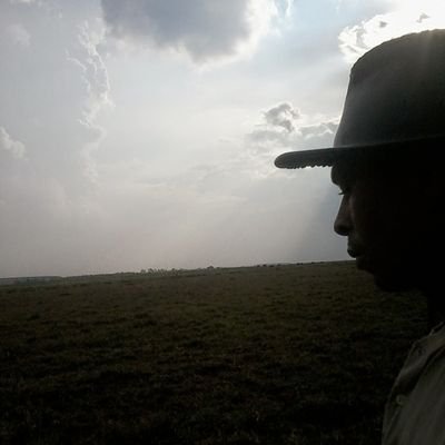 elsonDo44078717's profile picture. A semeadura é opcional,
mas a colheita é obrigatória