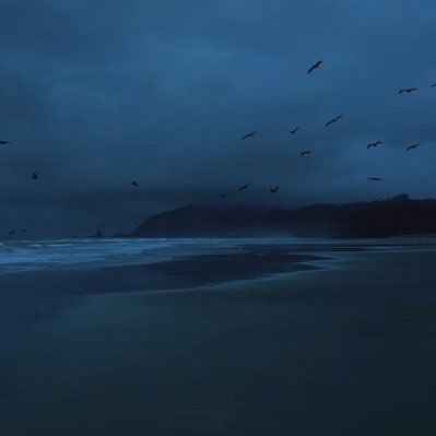 zexxr1x's profile picture. 15 • F/A  susd at 400