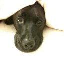 Karen Ramon - @kmr521 - Twitter