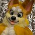 SoyCurl (@soy_curl) Twitter profile photo SoyCurl (@soy_curl) Twitter profile photo