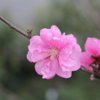 Daniel (@daniel484238795) 's Twitter Profile