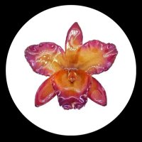 mya latney (@mya_ranae5) 's Twitter Profile