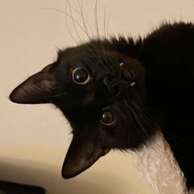 for_mytwenty's profile picture. 3년차 해외직장인 20대 안에 1억 모으기 챌린지 💵✨