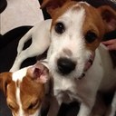 Gregory Gray - @GrayGregory - Twitter