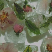 まぬーどる (@mimimiiichya) 's Twitter Profile
