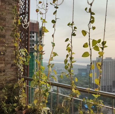 RishiAr95638872's profile picture. 