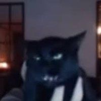 kitty (@caseohskitty) Twitter profile photo