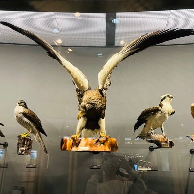 studycircle0's profile picture. こんにちは👋 スタディサークル（オンライン自習室）の運営アカウントです！ 毎日21時〜21時45分まで、あなたの自習時間を管理します。 スタディサークルでは、参加者が自習道具を準備し、自習に集中できるようサポートします。自習中はチャットで質問も受け付けます！一緒に効率的な学習環境を作り上げましょう！