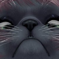 Moved to brawen.bsky.social (@brawenkg) 's Twitter Profile Photo Moved to brawen.bsky.social (@brawenkg) 's Twitter Profile Photo