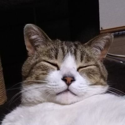 E1d7nxKwRo13ief's profile picture. 