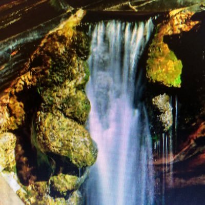 Ferdinand644903's profile picture. Interested in most things and people especially, centre right, philosophically Christian, widowed and happy now. DMs deleted and senders blocked.