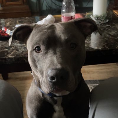 bopcentrall's profile picture. 