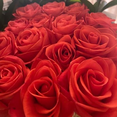 Hmd1212Snow's profile picture. 