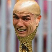 Azote blanco (@cagondeltang4) 's Twitter Profile