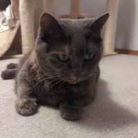 EvilMog® @mog.evil.af (@evil_mog) 's Twitter Profile