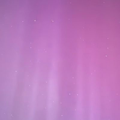 NickVigofficial's profile picture. 