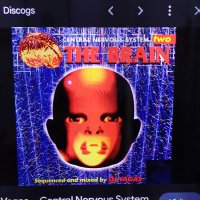 Beyondthevoid NFT (@nbeyondthevoid) 's Twitter Profile