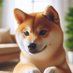 Tim (@dlzz01t) Twitter profile photo Tim (@dlzz01t) Twitter profile photo