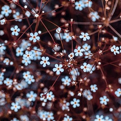 Alina8692767389's profile picture. 