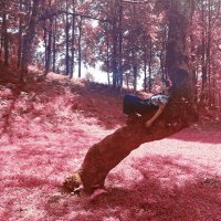 carmen 𦧠(@manchadesudor) 's Twitter Profile