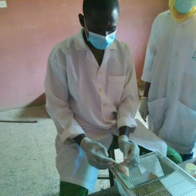 musa89636's profile picture. 