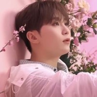 aly 🎀 | ia (@svt_skboo) 's Twitter Profile