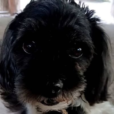 KJth30's profile picture. 