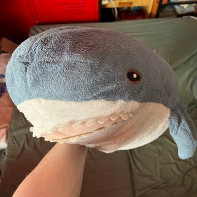 SOMB 🦈さんのプロフィール画像