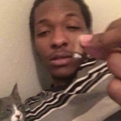 nihcasinsa's profile picture. 