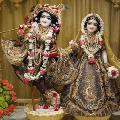 ChoudharyS26228's profile picture. Jr. accountant
finance department ( Raj. government)