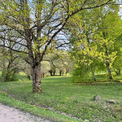 SChondro062's profile picture. Follow me Follow back 💯 💶 💯