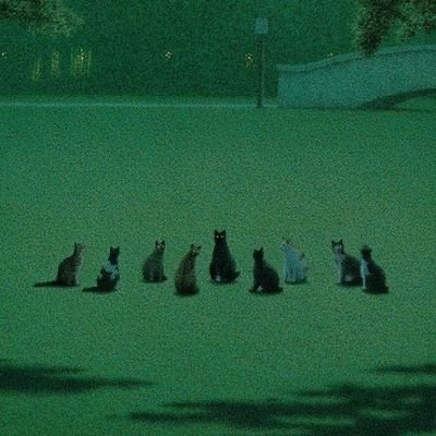 likaakaa__'s profile picture. 🫀