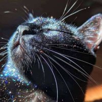 Cipher (@cipher_moonstar) 's Twitter Profile