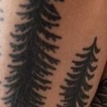 LegacyAce94966's profile picture. 