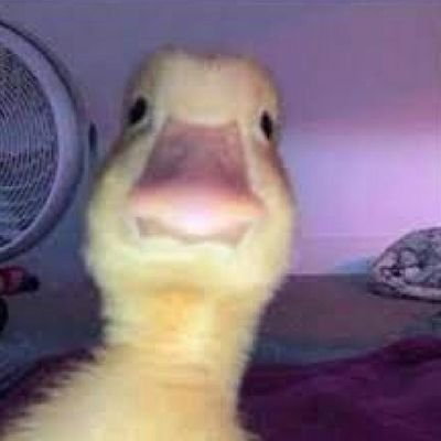 DaiiBelieve's profile picture. 