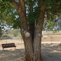 #Medi Ambient Molins (@mambient_molins) 's Twitter Profile Photo