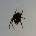 jason hickson - @HicksonJason - Twitter