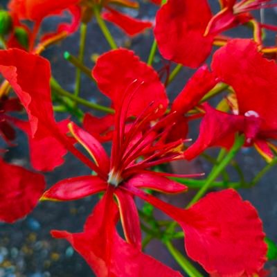 Shankar767674's profile picture. Do something