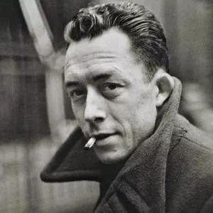 DavidMo74361940's profile picture. 