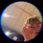 JSnnnnn626's profile image
