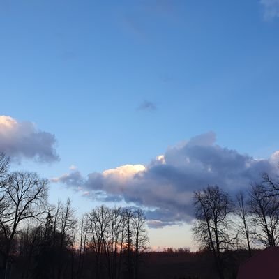 KloorenAyrton's profile picture. 