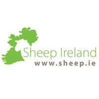 Sheep Ireland 🌟🌟🌟🌟🌟 (@sheepireland) 's Twitter Profile Photo Sheep Ireland 🌟🌟🌟🌟🌟 (@sheepireland) 's Twitter Profile Photo