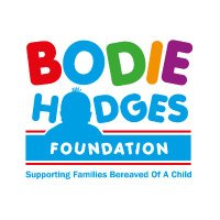 Bodie Hodges (@bodie_hodges) 's Twitter Profile
