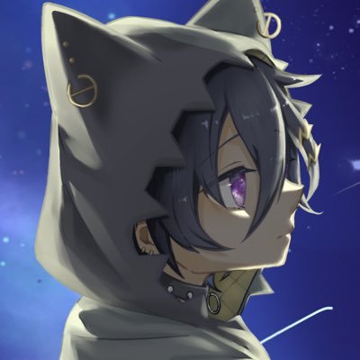 翔楓_SKaede🎸さんのプロフィール画像